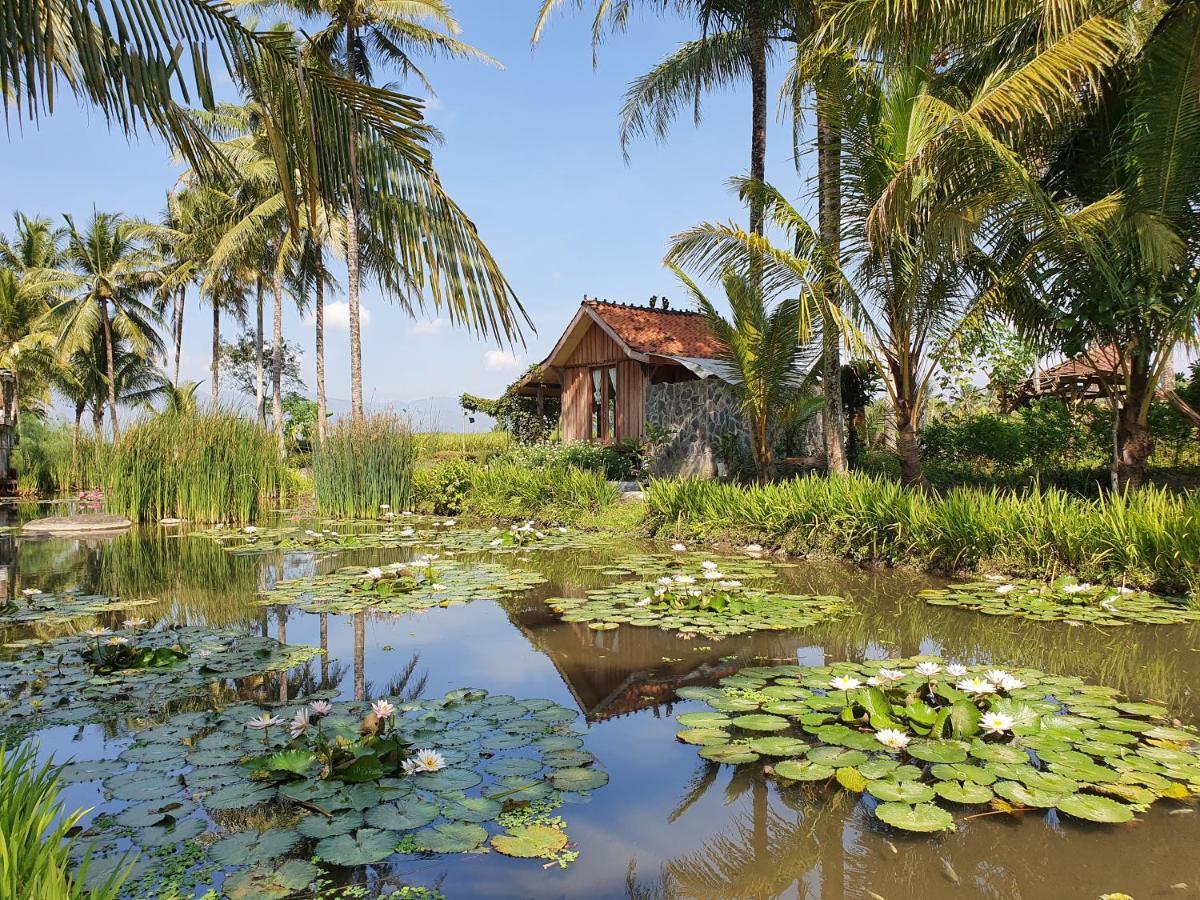 Borobudur Bed & Breakfast Magelang Esterno foto