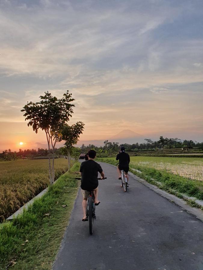 Borobudur Bed & Breakfast Magelang Esterno foto