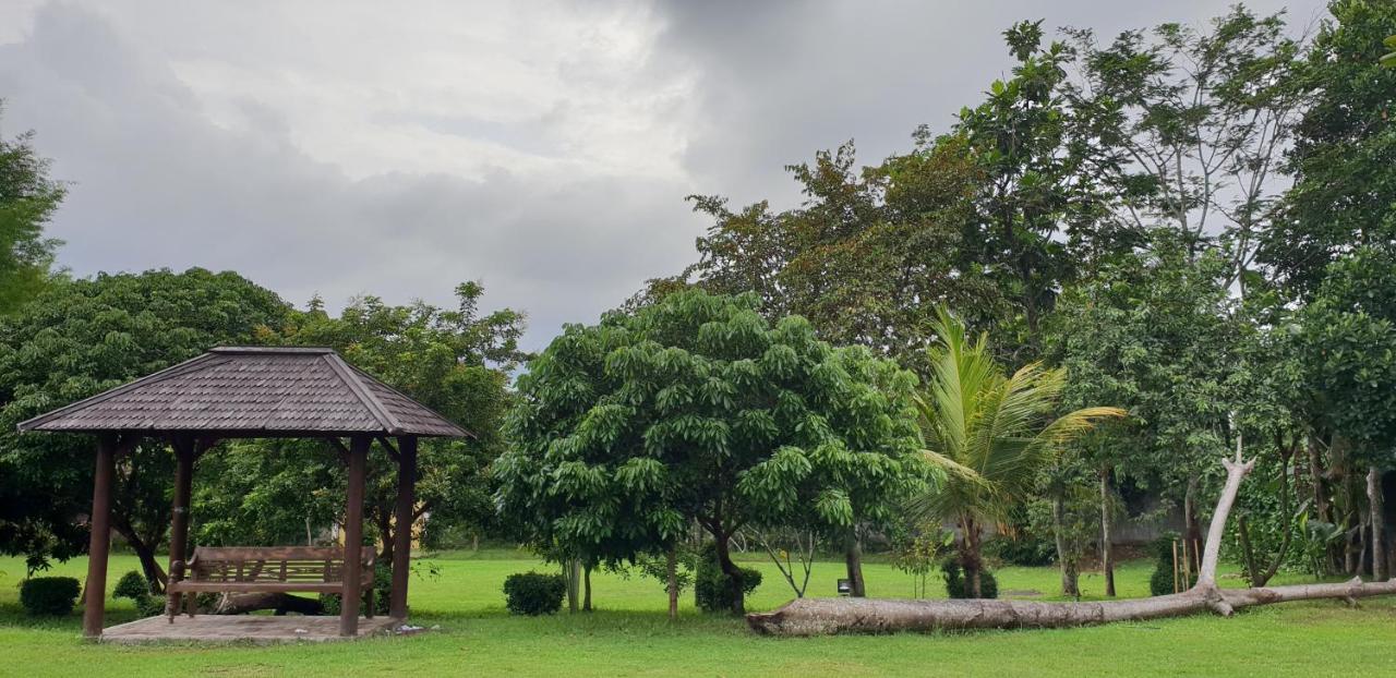 Borobudur Bed & Breakfast Magelang Esterno foto