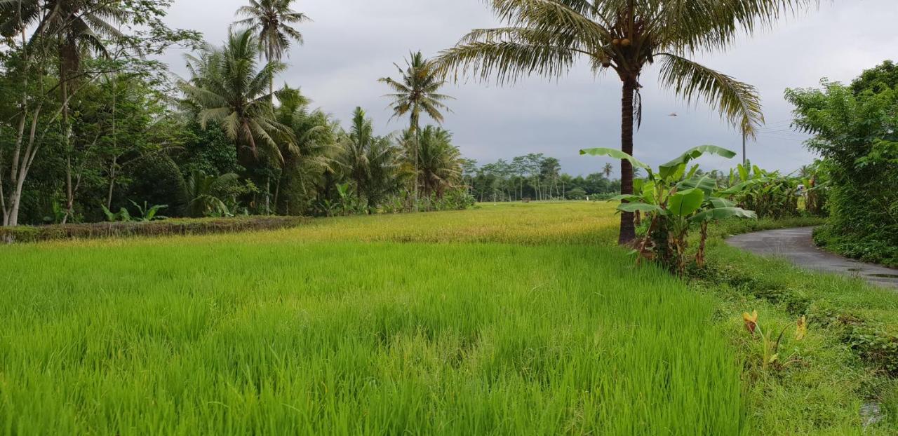 Borobudur Bed & Breakfast Magelang Esterno foto