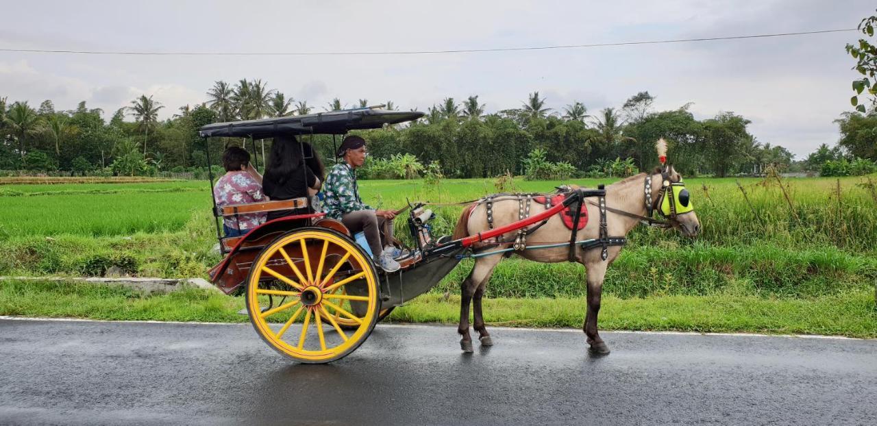 Borobudur Bed & Breakfast Magelang Esterno foto